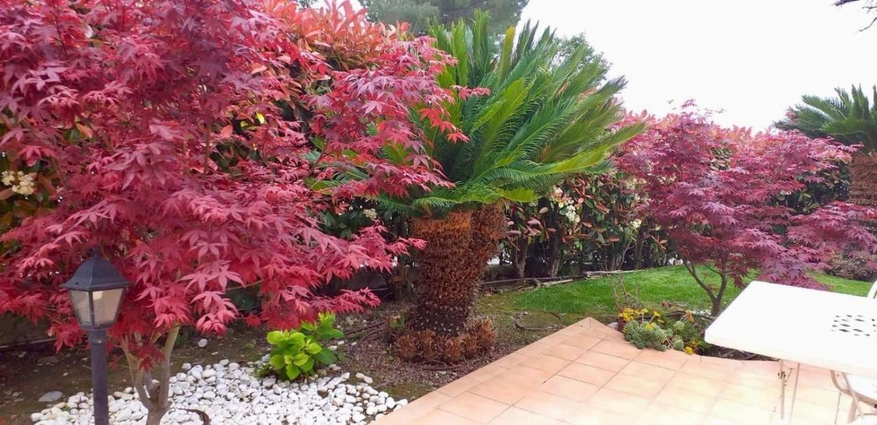 Villa Gaia - Luxury Villa, Pool & Wellness Rooms Bordighera Bagian luar foto